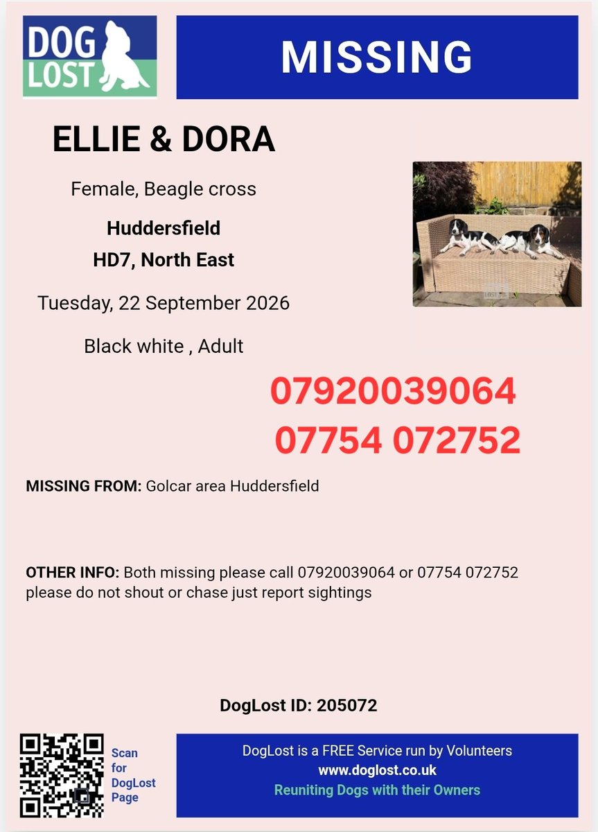 MissingPetsGB's tweet photo. 🐕‍🦺 🐕‍🦺 ELLIE &amp; DORA are MISSING

Two adult Beagle cross, #missing since 22 September from Golcar, #Huddersfield #HD7 West Yorkshire

They are black &amp; white, &amp; both microchipped

🙏 PLEASE DO NOT SHOUT, CALL OR CHASE THEM.

If you see them, please report the sighting only. https://t.co/lsKmCrEnD1