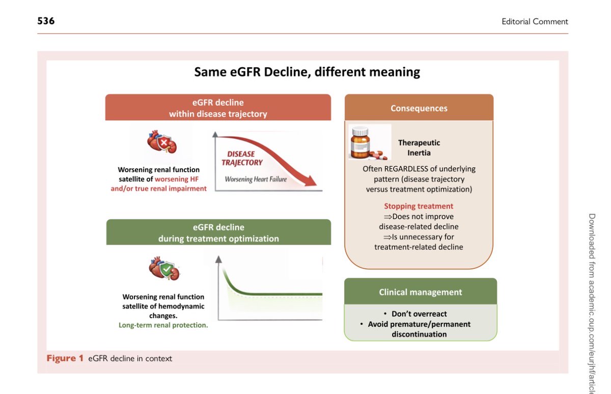 EJHFEiC's tweet photo. Editorial : #MRA-induced #eGFR decline—causes, consequences, and context

@NicolasGirerd https://t.co/1q28p8eo6X

#EJHF @ESC_Journals @HanCardiomd @AmrAbdin10 @GiuseppeGalati_ https://t.co/Yd61BQyT4O