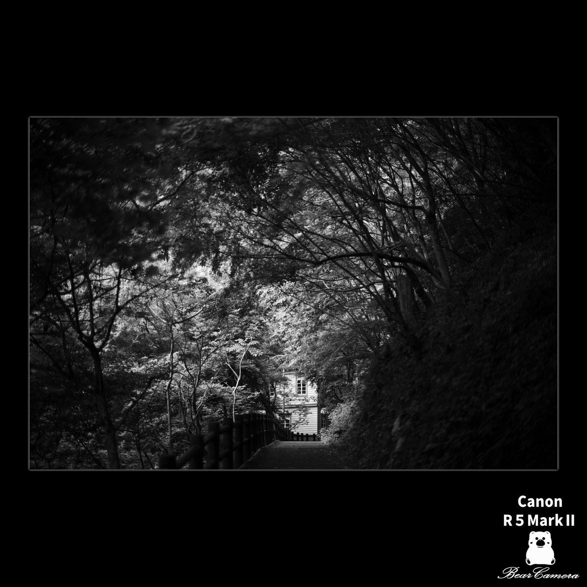Nya1597994's tweet photo. モノクロな散歩　散歩道
A Walk in Black and White
私の心を動かしたこと、もの
Things that moved my heart
#canon #eosr5 #monochromephotos https://t.co/bwi5r99RZM