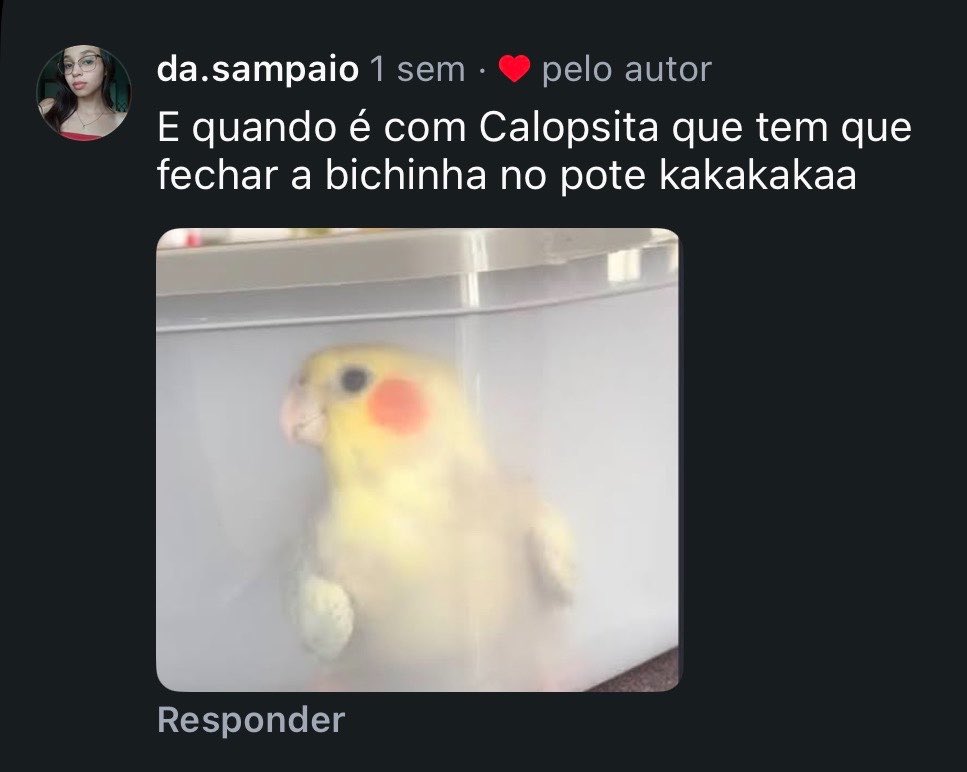 vlucasrocha's tweet photo. a gente nunca sabe o que tá rolando com o pet dos outros https://t.co/TUQG3v0mjb