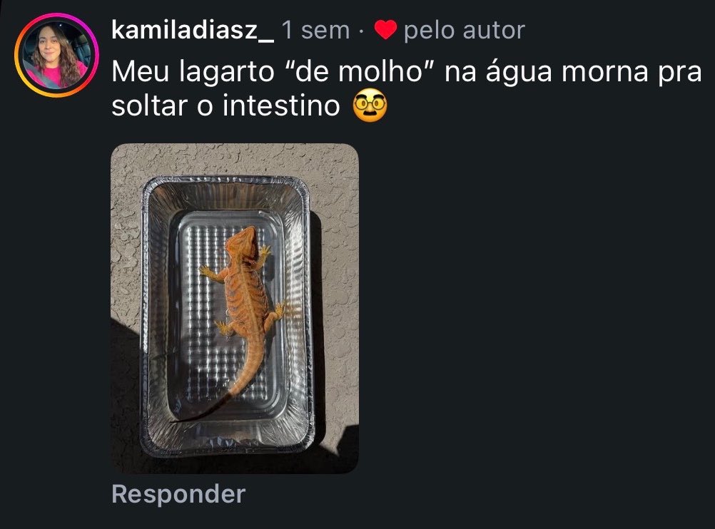 vlucasrocha's tweet photo. a gente nunca sabe o que tá rolando com o pet dos outros https://t.co/TUQG3v0mjb