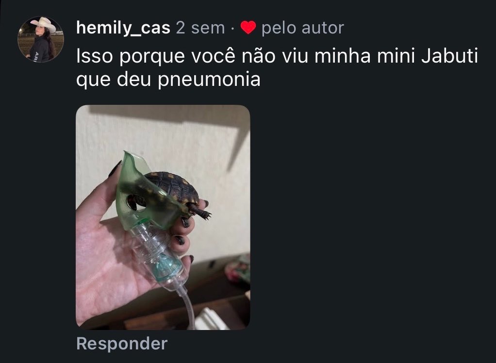 vlucasrocha's tweet photo. a gente nunca sabe o que tá rolando com o pet dos outros https://t.co/TUQG3v0mjb