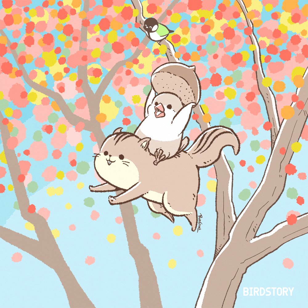 Birdstory_pic's tweet photo. 今日9月23日は「秋分の日」🍂

少しずつ涼しくなって、日暮れも早くなってきましたね。
秋の訪れを感じる今日この頃です🌰

シルバーウィーク連休最終日！
皆さまにとって素敵な一日になりますように🐣✨

#BIRDSTORY #秋分の日 https://t.co/1dA0juFsoY