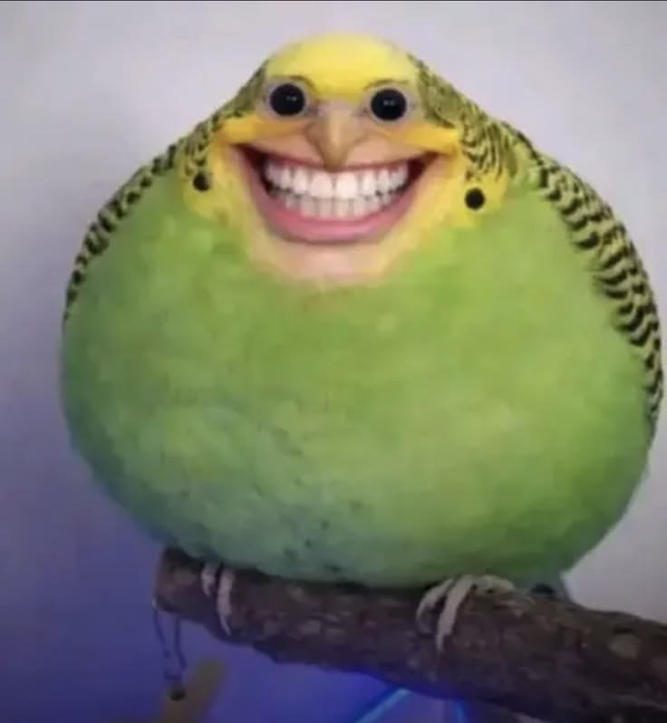 kaworuisdeadd's tweet photo. @Bielzinho__oi Assim só pelo pouco q te conheço já confirmo faz um chá revelação https://t.co/FGxizuDoTm