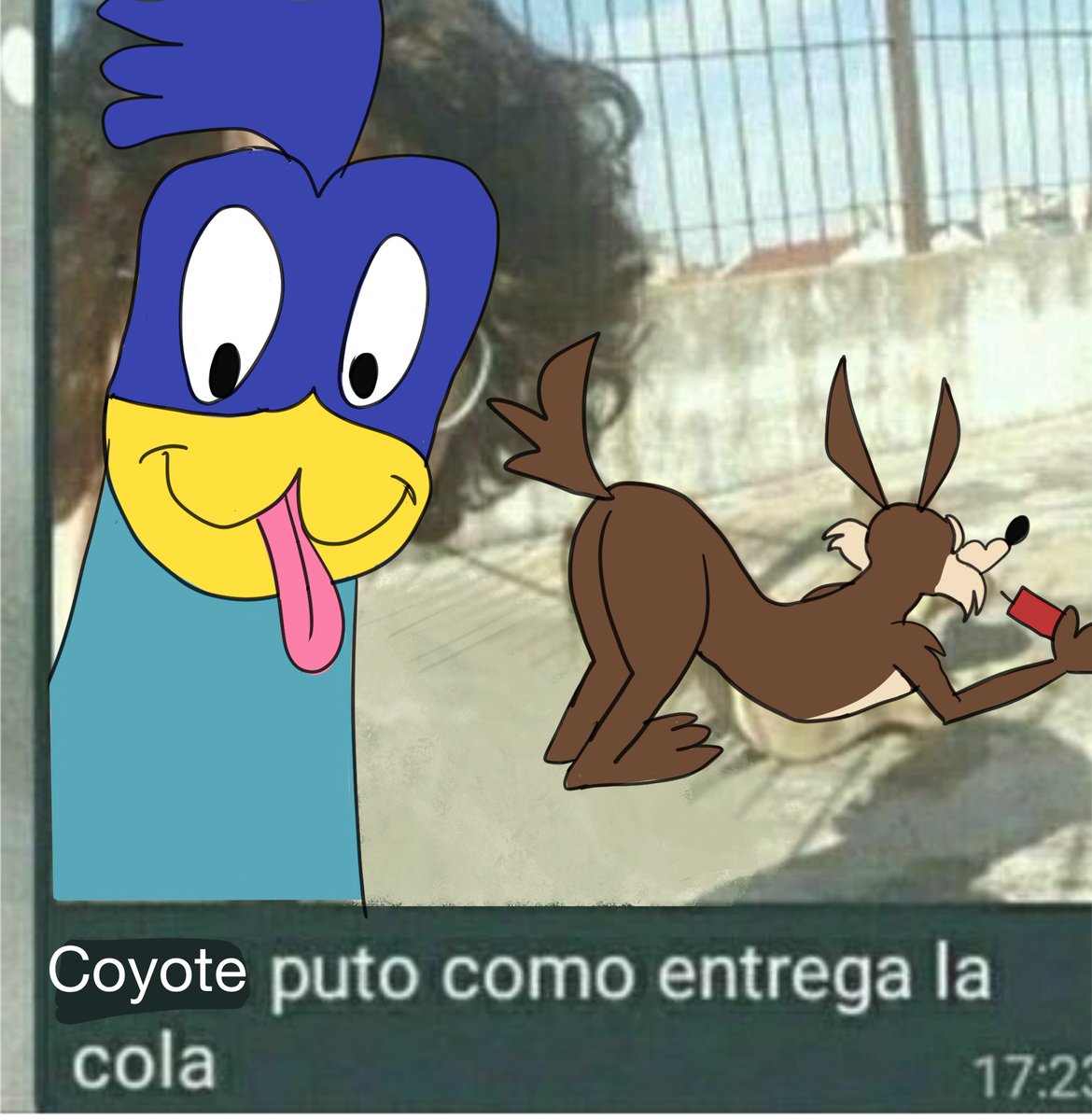 4nerol1's tweet photo. Coyote puto como entrega la cola 🫦 JAJAJA #looneytunes #wileecoyote #roadrunner #wileroad #wilerunner https://t.co/4WzULx34ta