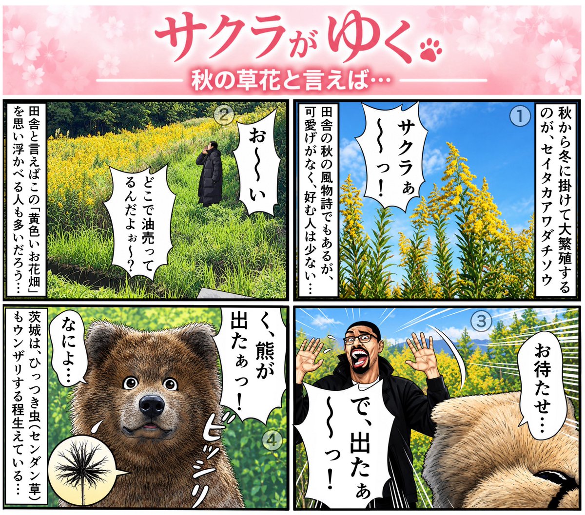 sho_bei0124's tweet photo. 今朝は、久しぶりの4コマを✨①右上→②左上→③右下→④左下の順に読み進めてください🤭✨

秋の野山に分け入ると、様々な植物を見ることが出来ますが、一番見るのが「セイタカアワダチソウ」ともう��つ…😳💧

#田舎あるある　#秋田犬のいる暮らし　#4コマ漫画 https://t.co/rvmCeyFvX6