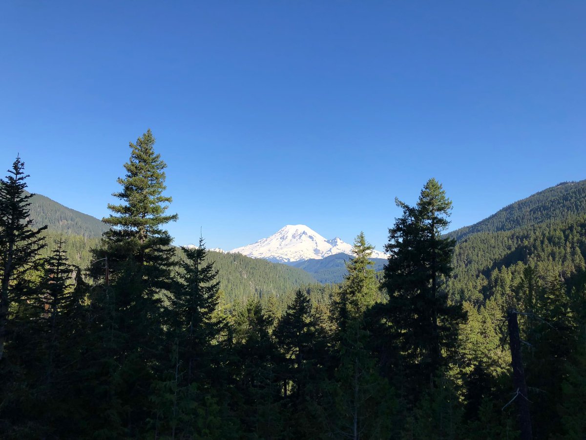 photoshoopshop's tweet photo. Rainier Beyond the Firs. The mountain showing itself over the tops of the trees.

#fineartphotography #landscapephotography #naturephotography #photoshoop https://t.co/zLVhWuFLuu