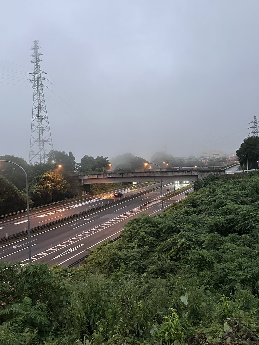 ybsradiofun's tweet photo. おはようございます

シルバーウイーク最終日の上野原は、残念ながら雨模様

霧雨が降り続いています

霧も出ているようです
上野原IC付近も見通しが悪くなっています

散歩中に見つけた秋…
彼岸花と稲穂が冷たそうでした

 今日もよろしくお願いします

 #909mybs 
 #アラキティちゃん =^・◦・🎀^= https://t.co/xG27KbhB1l