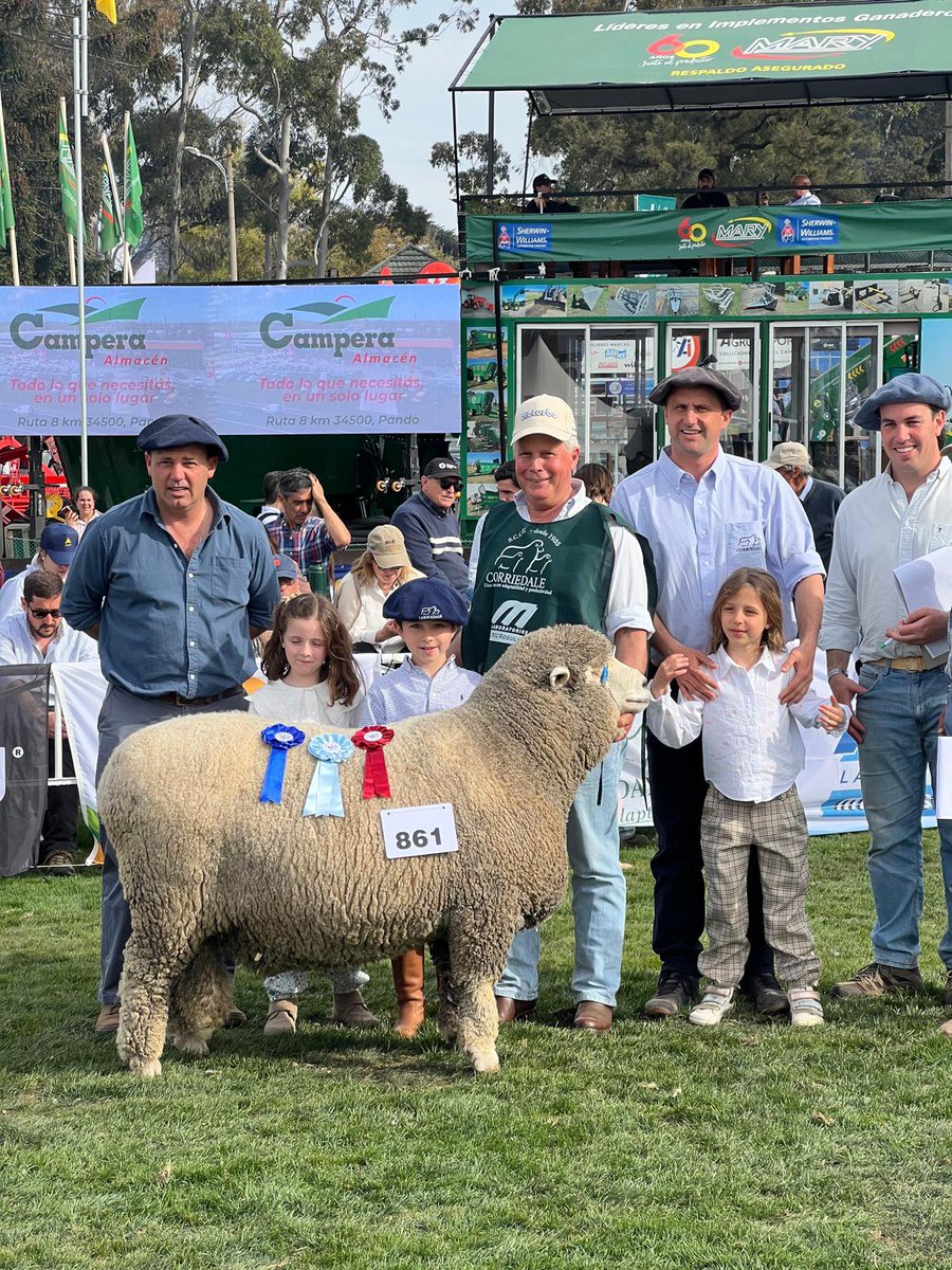 PanchiElhordoy's tweet photo. Expo Prado 2026:
- Gran Campeón y mejor conformacion PO

- Tercer mejor macho y mejor cabeza PO

- Tercer mejor hembra PI

- Tercer mejor hembra PO

Está vez nos tocó ganar, porque cuando perdimos lo seguimos intentando.
               https://t.co/AaKpsirhrh https://t.co/GeJNM2jjT3