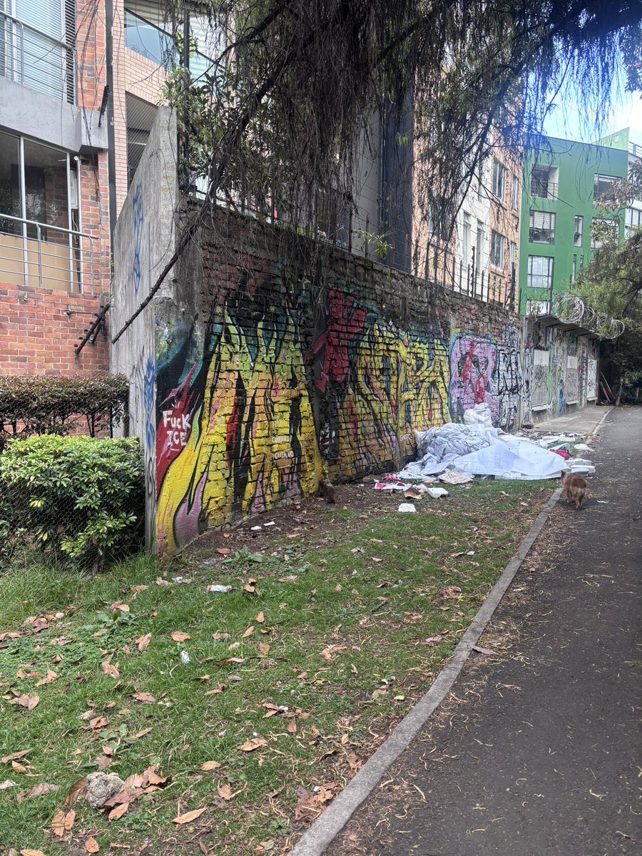 marcevalenciar's tweet photo. Qué inoperancia la de las instituciones. Hemos mandado cartas a @teusaquillo13 @personeriabta @Bogota para que obliguen a @AcueductoBogota @AguasBogota para que limpien el caño de Río arzobispo desde Cra 30 ( hornitos hasta Parkway) lleva meses así y nada. RT 🙏 ayuda. https://t.co/lUxifNZ4ID