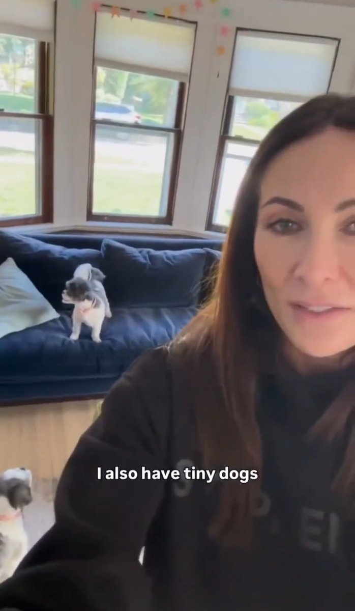 kidlockfilms's tweet photo. we finally got a glimpse of her dogs🥺 https://t.co/Hay2HmwINa