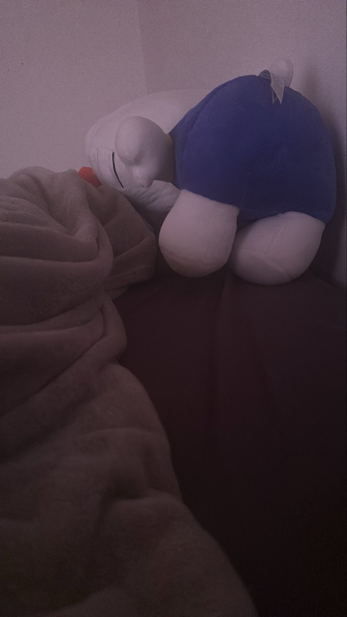 thendofthedream's tweet photo. i need curtains that make my room look dark at night 🐰 https://t.co/kkEj4Gxg55