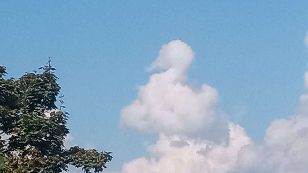 hundofish's tweet photo. saw a perfect duck https://t.co/6Rv0Oe9Tu9