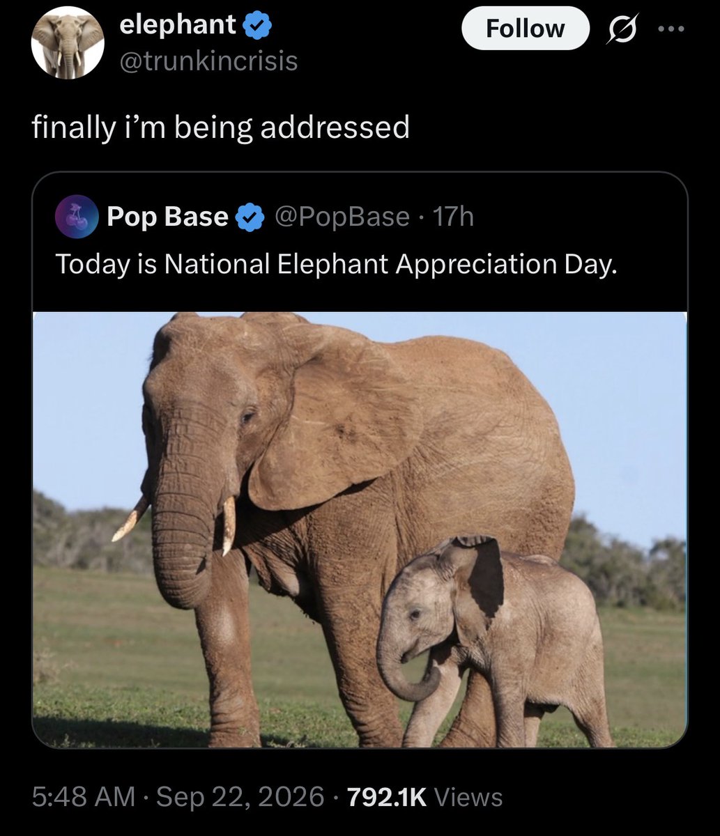 headnurseyuri's tweet photo. How it feels to finally gain likes and reposts on Twitter https://t.co/yV3U7Ofi2w