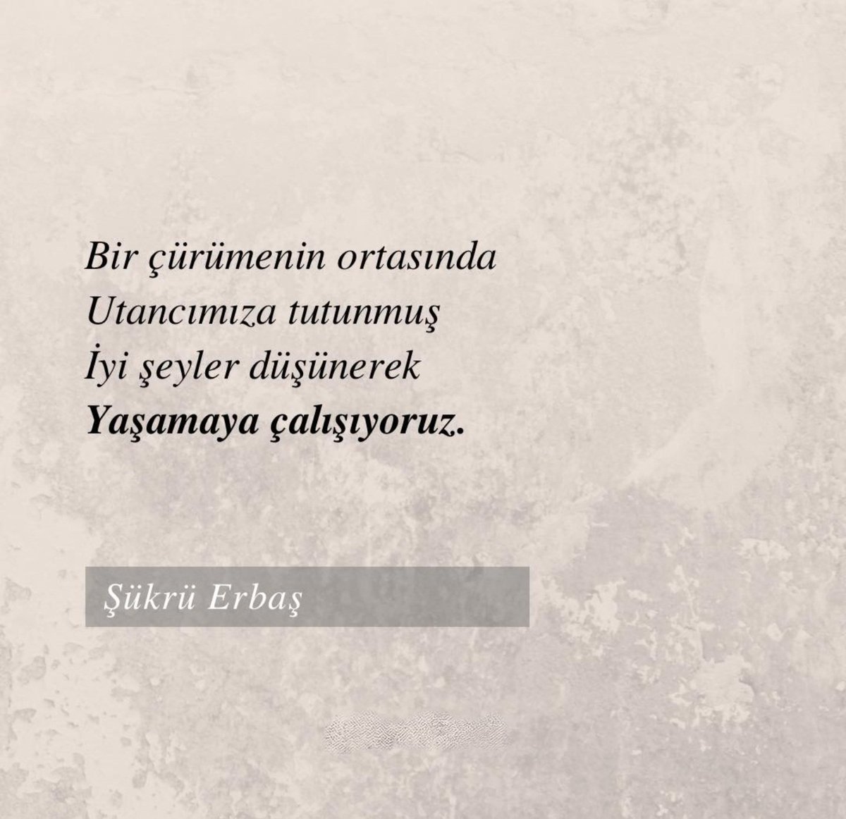 PezikEbru's tweet photo. #ŞükrüErbaş #İnsanBirEksikSözdür #CahitZarifoğlu #SezaiKarakoç #DirilişNeslininAmentüsü #AyinlerÇeşmeler #Çağ #ManisaTurgutlu https://t.co/Lua8udRqCs