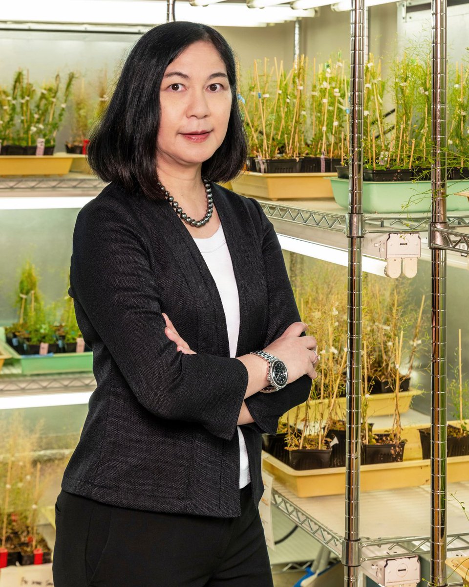 hhmi_science tweet picture