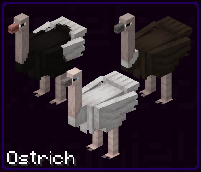 xanielox's tweet photo. They're the biggest bird, they're the biggest bird.
Albino included!

#minecraft #minecraftart #pixelart #art #blockbench #ostrich https://t.co/CoXWE9jFS1