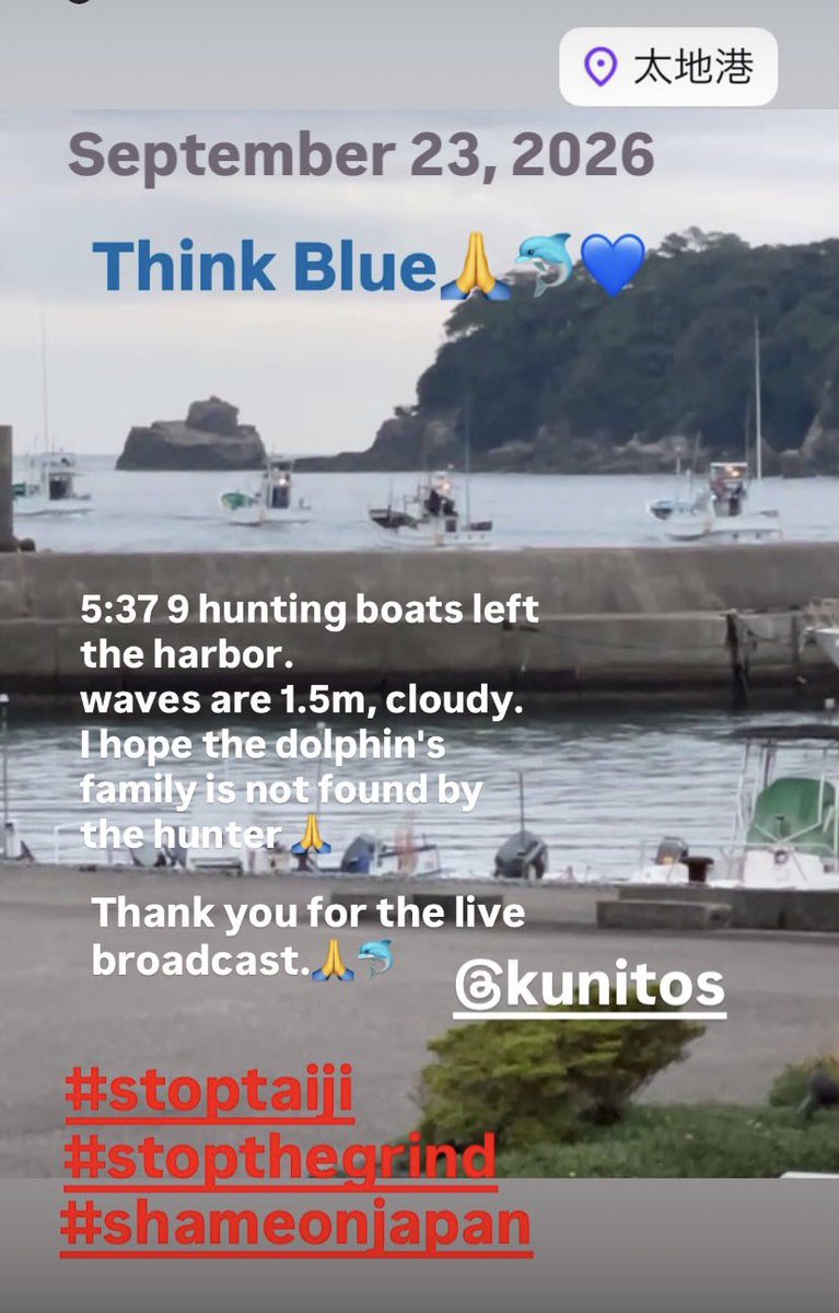 yoko865's tweet photo. September 23, 2026.
5:37 9 hunting boats left the harbor.
The waves are 1.5m, cloudy.
I hope the dolphin's family is not found by the hunter ๐
Think Blue๐๐ฌ๐
Thank you for the live broadcast.๐๐ฌ
@KunitoSeko
#stoptaiji
#stopthegrind
#shameonjapan https://t.co/mRwKxixPNP