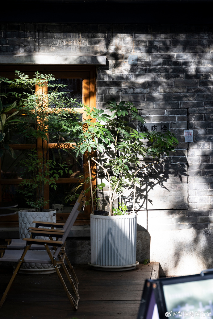 akdrh0418's tweet photo. Just passed by an old alley and caught this perfect moment—sunlight filtering through the brick wall, a lone potted plant keeping the street warm. Can’t beat these tiny, unplanned street charms. https://t.co/xkBgQf8FKn