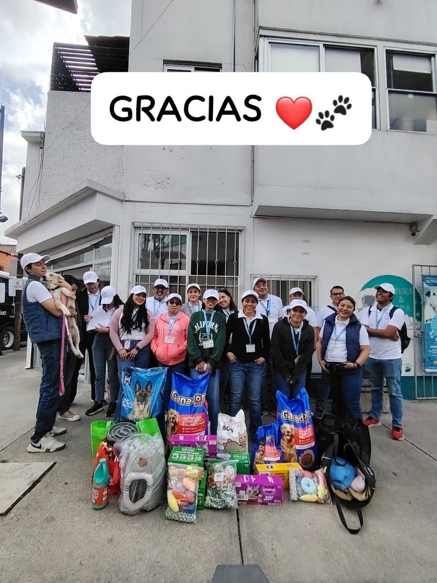 drsecuritymx's tweet photo. El equipo de DR Security participó en una jornada de voluntariado con la @pnamexico, brindando paseos, juegos, compañía y donativos. 🐾 Apoyemos el bienestar animal y la adopción responsable. #DRContigo https://t.co/7RiCkJnosy