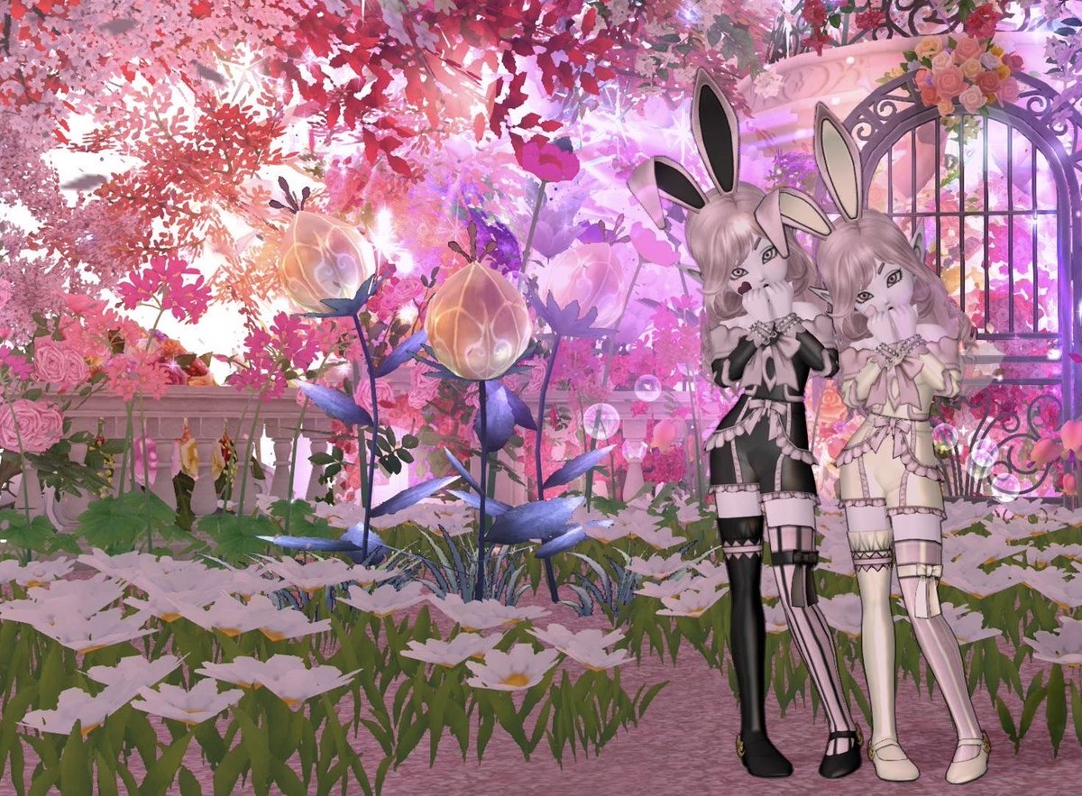 mintblanc31's tweet photo. なんとみかんちゃんとペアドレ🐰✨
嬉しすぎる！！たくさんありがとう
可愛く仕上がったね（ ;  ; ）✨
#レインスタジオ https://t.co/ZkdXtk0tcB