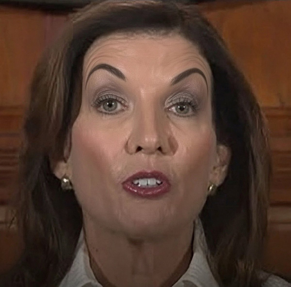 DschlopesIsBack's tweet photo. BREAKING: Nancy Pelosi and Kathy Hochul’s eyebrows on pace to reach Mars before Elon Musk https://t.co/PWDiToECQY