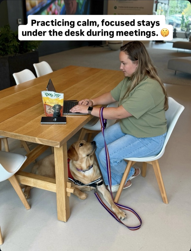 Freshpet's tweet photo. Our service dog-in-training foster, Harvest, has been making incredible progress! 💚

Through our continued partnership with @4PawsForAbility, Freshpet team members have been helping Harvest practice new skills and prepare to one day be matched with her future partner. https://t.co/8jiruuWJnm
