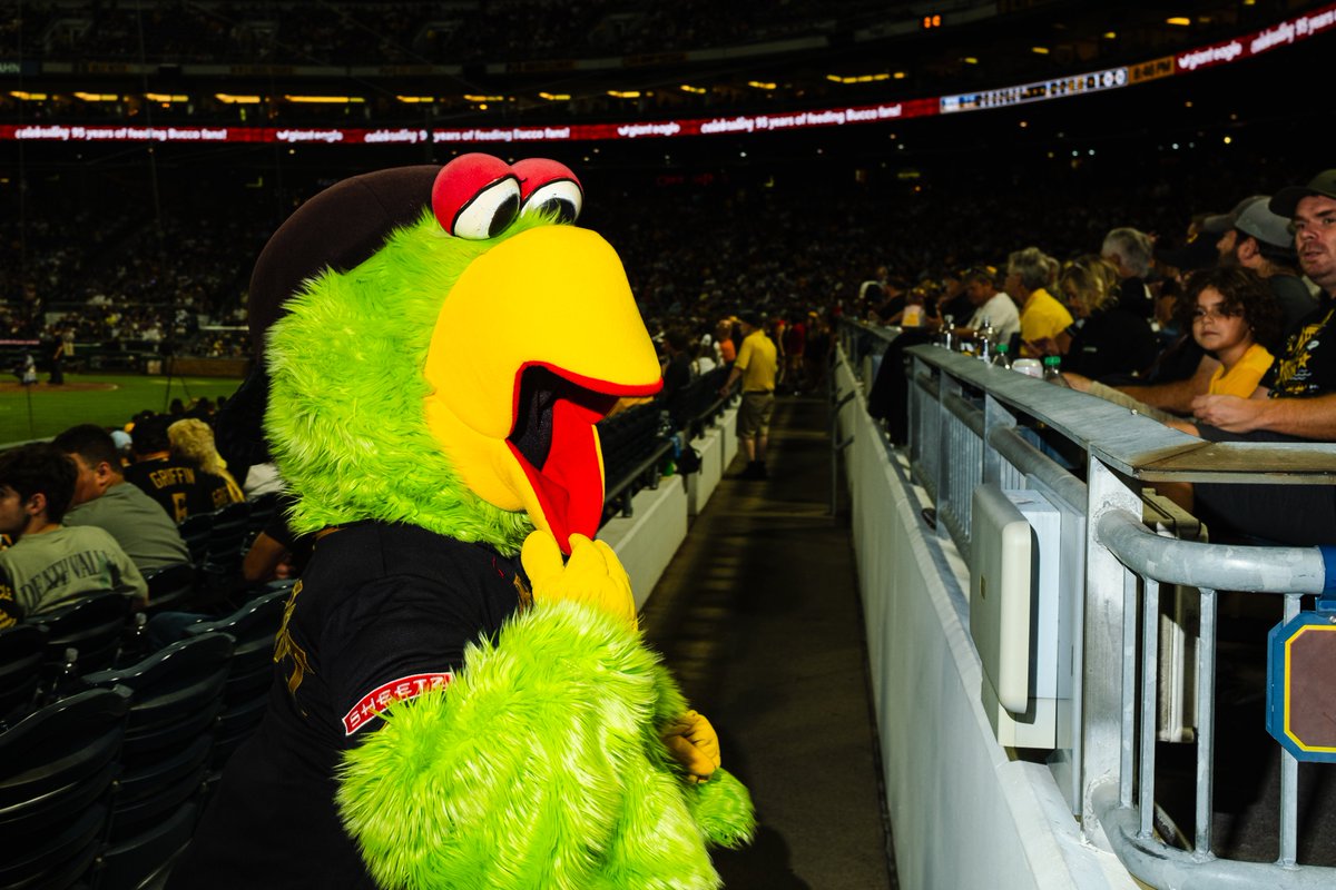 Pirate_Parrot's tweet photo. I call this one ~ Bird with Flash~ 📸 https://t.co/SFvORD01UO