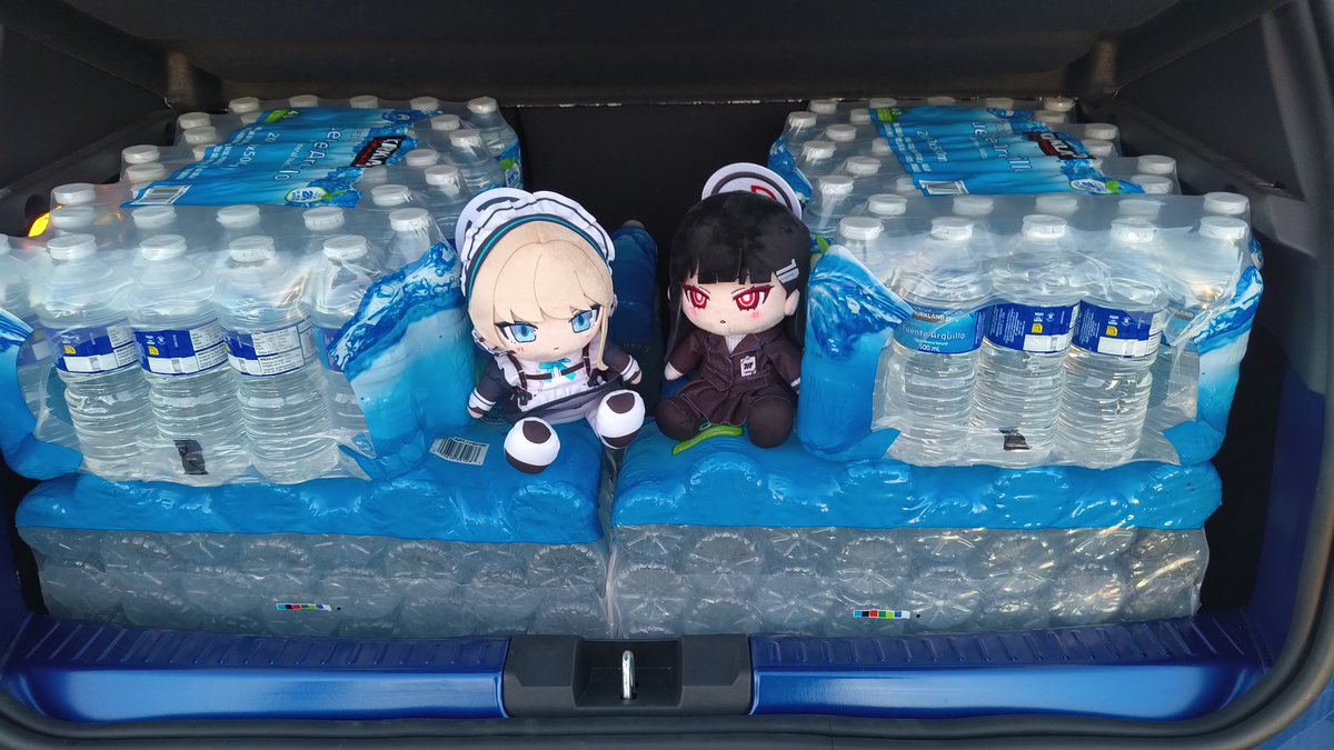 Haslus's tweet photo. "This was an efficient purchase"
"Rio-san I don't think we need 300 water bottles"
"But it was on sale..." https://t.co/H3ba7YEfmR