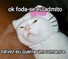acervobichinho's tweet photo. https://t.co/ilsFZdnheO