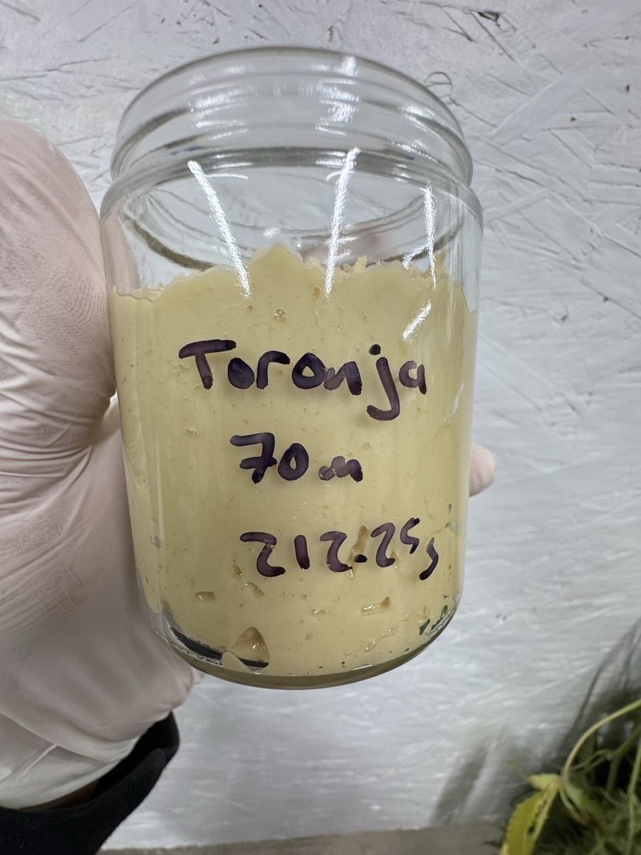 KANDYEXPRESS420's tweet photo. Mixed rosin orders out the door 24/7 !! Make sure grab yours real quick won’t last long
Check discord shop out for full media: https://t.co/bu2j39fejx
#resin #rosin #drugtwt #drugstwt #high #HashRosin #LiveRosin #Dallas #DTX #DallasFreaks #DallasMeetups #DallasMeets
#THCVapes https://t.co/D0sz4qyGAb