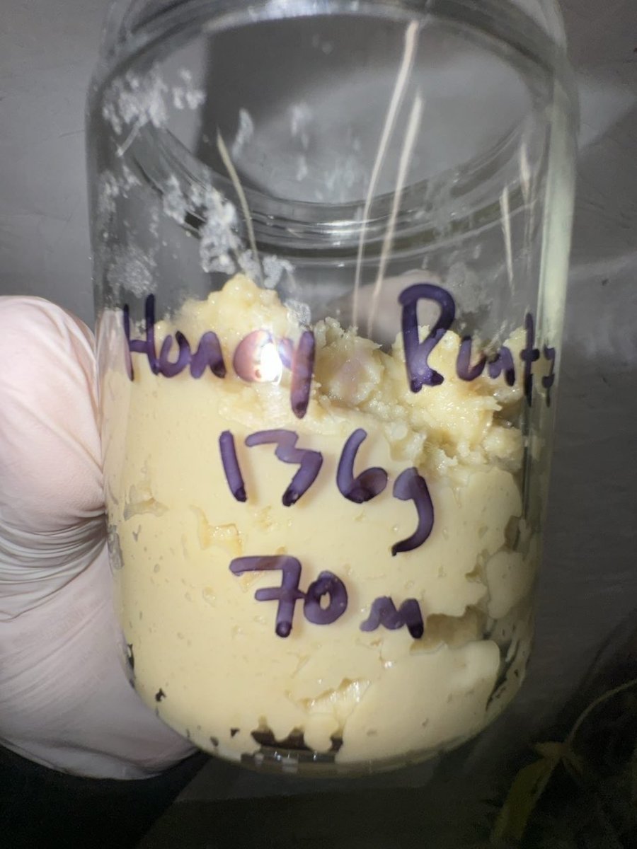 KANDYEXPRESS420's tweet photo. Mixed rosin orders out the door 24/7 !! Make sure grab yours real quick won’t last long
Check discord shop out for full media: https://t.co/bu2j39fejx
#resin #rosin #drugtwt #drugstwt #high #HashRosin #LiveRosin #Dallas #DTX #DallasFreaks #DallasMeetups #DallasMeets
#THCVapes https://t.co/D0sz4qyGAb