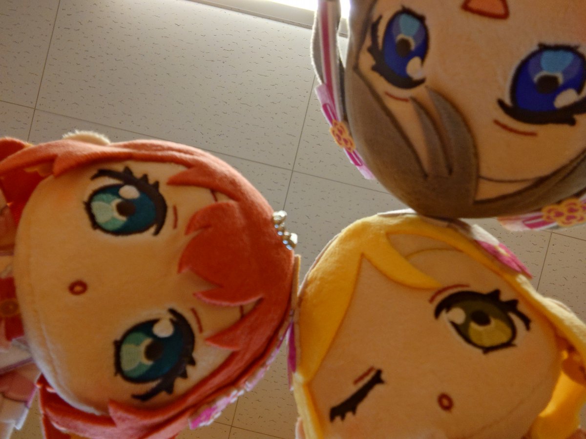 om_dn's tweet photo. ぬいちゃんわちゃわちゃ https://t.co/ZLscWMu3QL