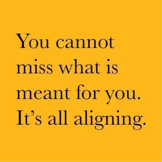 IamLadiiJaye's tweet photo. ✨✨✨✨💯🎯🎯💯✨✨✨✨ https://t.co/obTSYYwP5O