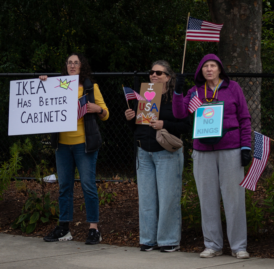 bfurman's tweet photo. Clever sign and proof the 1st Amendment works in Alexandria, Virginia on No Kings Day 10/1/25. #NoKingsDay #democracy #vote #alexandriavirginia https://t.co/NB44sdQ1X7