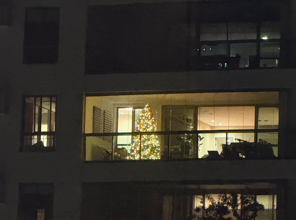 felipenaolipe's tweet photo. Cara, já tem um vizinho com Árvore de Natal montada https://t.co/yO9wvsW87A