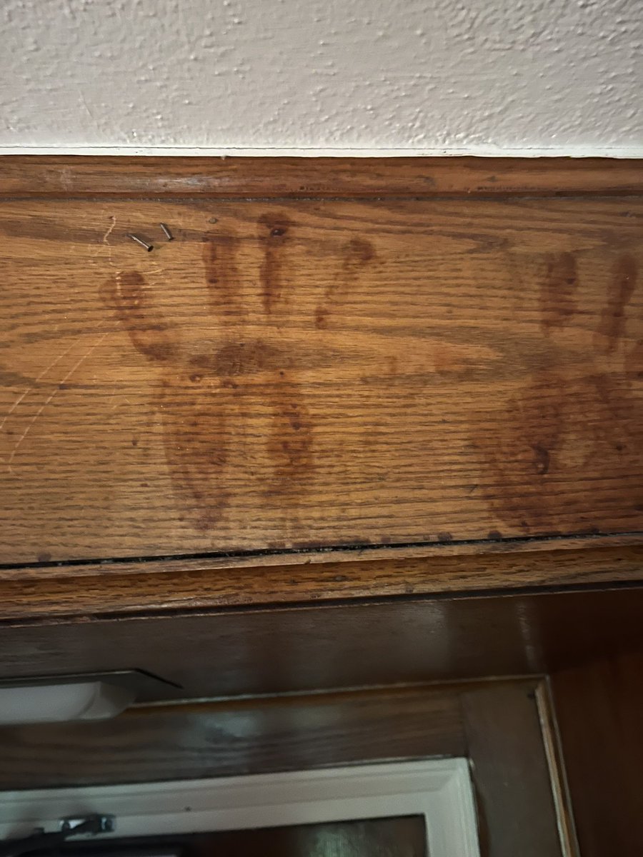 kaitoomf's tweet photo. there’s a stain in my dorm. what is it

second picture is the stain under a supposed black light https://t.co/hY4IzsoA8T