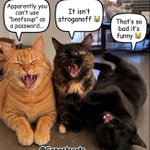 Photo by Etty 🙋‍♀️🇦🇺 Max🐈‍⬛🌈 Cat. (@GreenEtty)