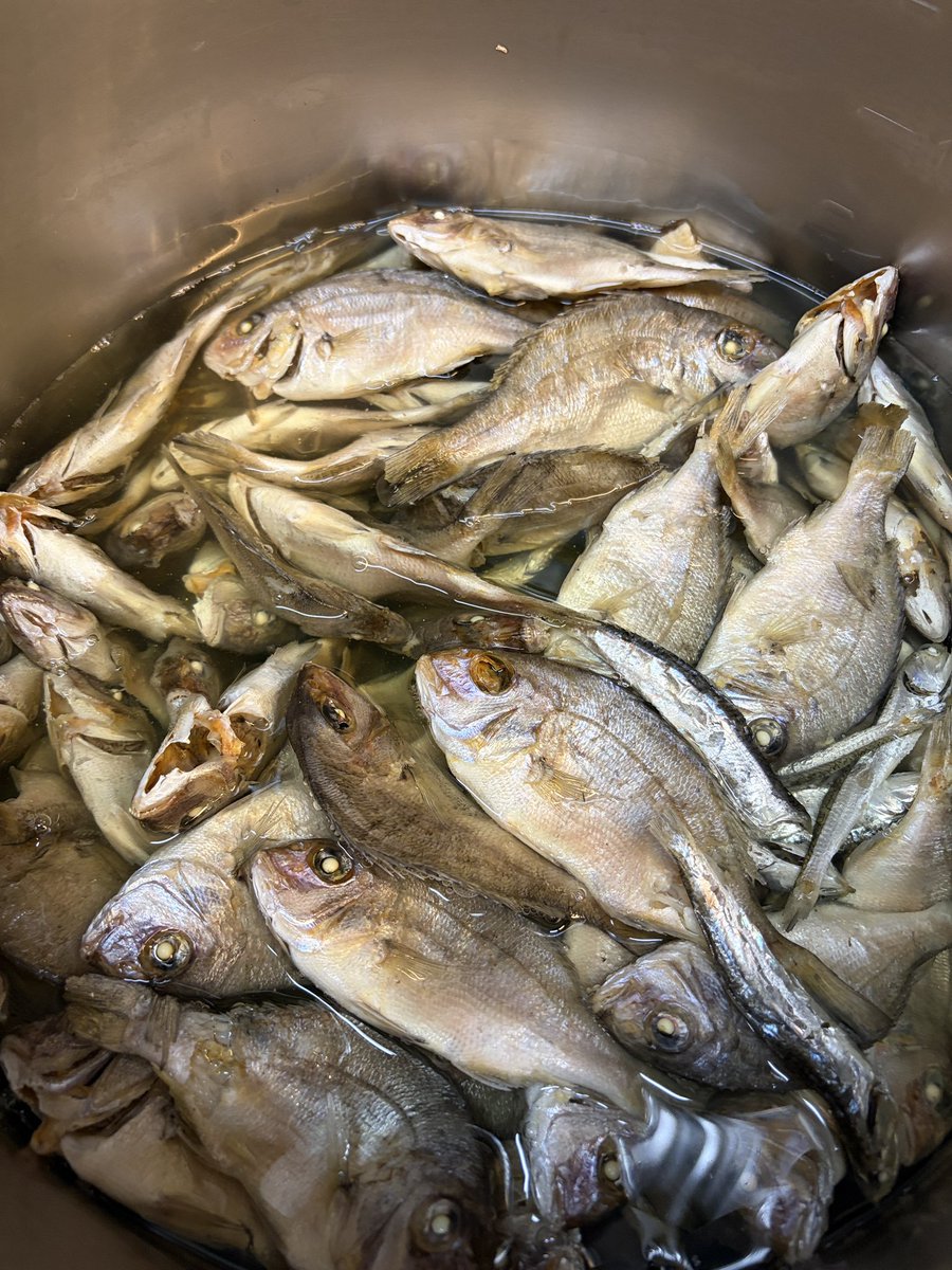 kokosaki_tomo's tweet photo. 本日の予定

◯丸鶏、麺助鶏と比内地鶏
◯魚介、イカ煮干
◯油そば
◯限定、煮干シルバー冷やし

限定は3種の煮干をクラッシュしてシルバーに仕上げた冷やし、シルバーウィークだからシルバーと言う安易さw

今週もよろしくお願いします

営業時間
11時半から14時半
18時から21時 https://t.co/sRb3AU6MBU