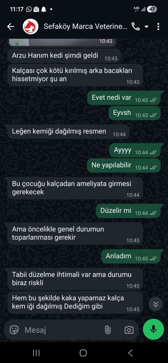 womanchildanima's tweet photo. Sabah bir kedi gördüm işe giderken veterinere gotürdüm durumu kotü paylaşım yapmanız mümkünmü acaba ameliyat masrafı 20000 tutarmış ben tek başıma karşılayamam
Sefaköy İstanbul
+90538 341 25 82 https://t.co/iwxLBISeDF