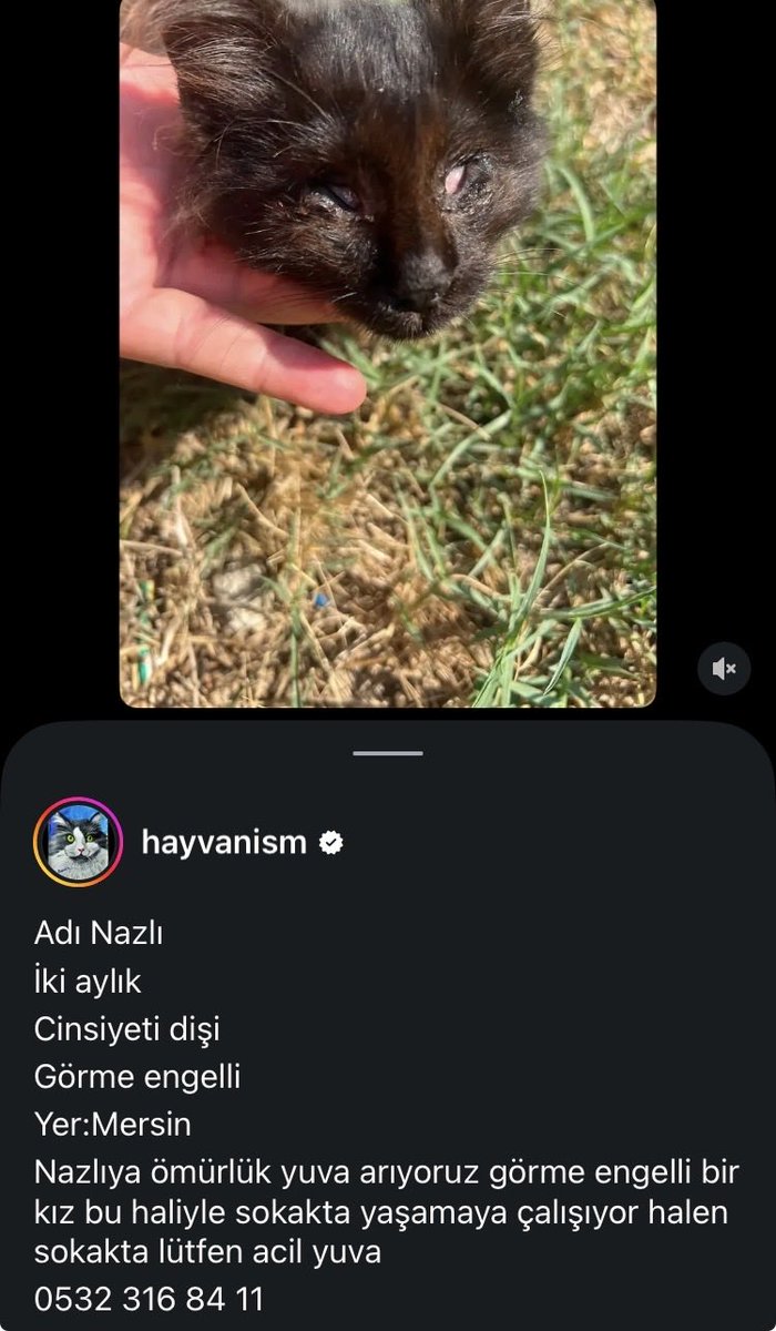 womanchildanima's tweet photo. Mersin engelli can

Acil yuva https://t.co/6AS8vYOrNY