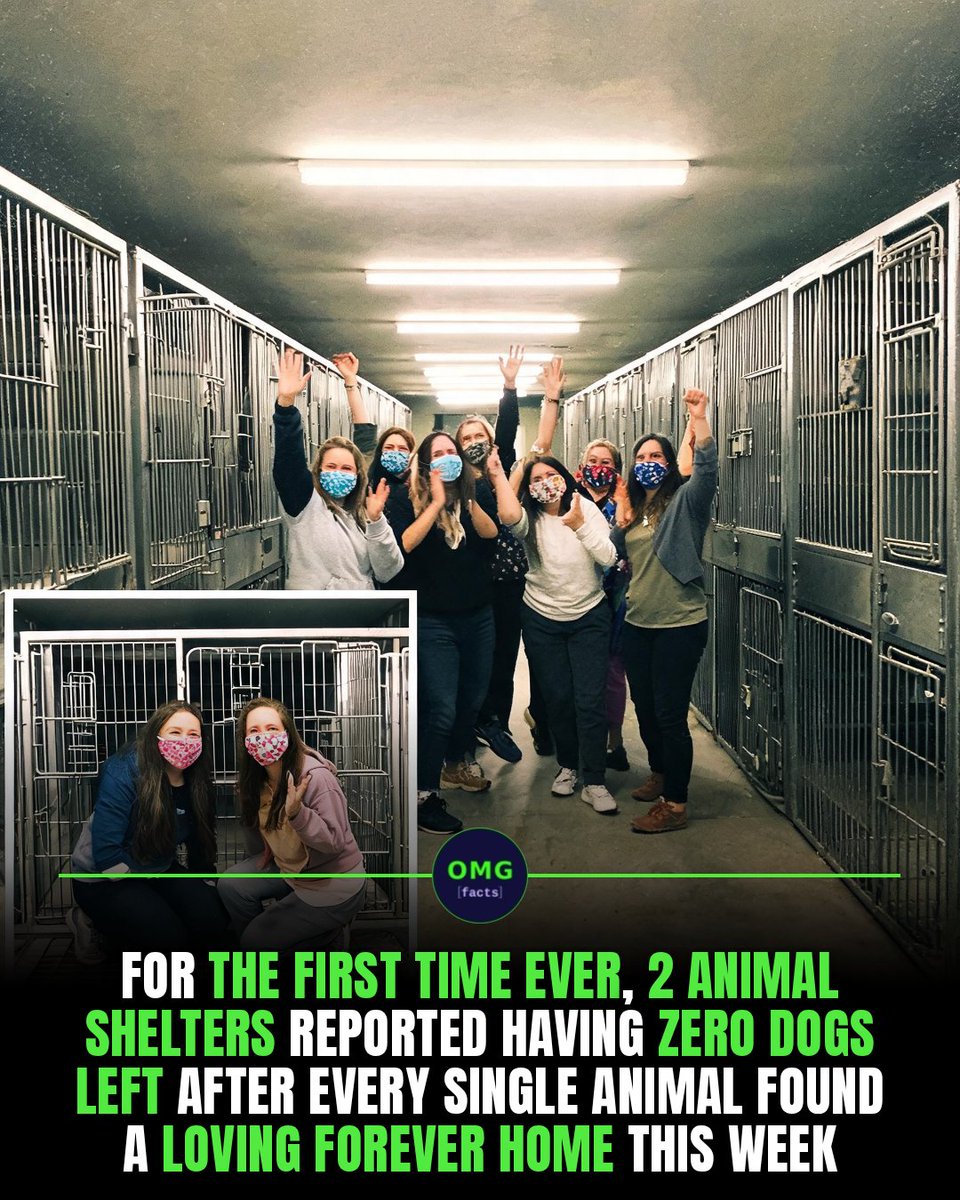 OMGFacts's tweet photo. 🐶 Two shelters just hit zero dogs, first time ever.

Chicago and Florida shelters found homes for all.

Empty cages, full hope.

Sources: ABC News, CNN

#omgfacts #animalrescue #dogadoption https://t.co/lDf9acsaj9