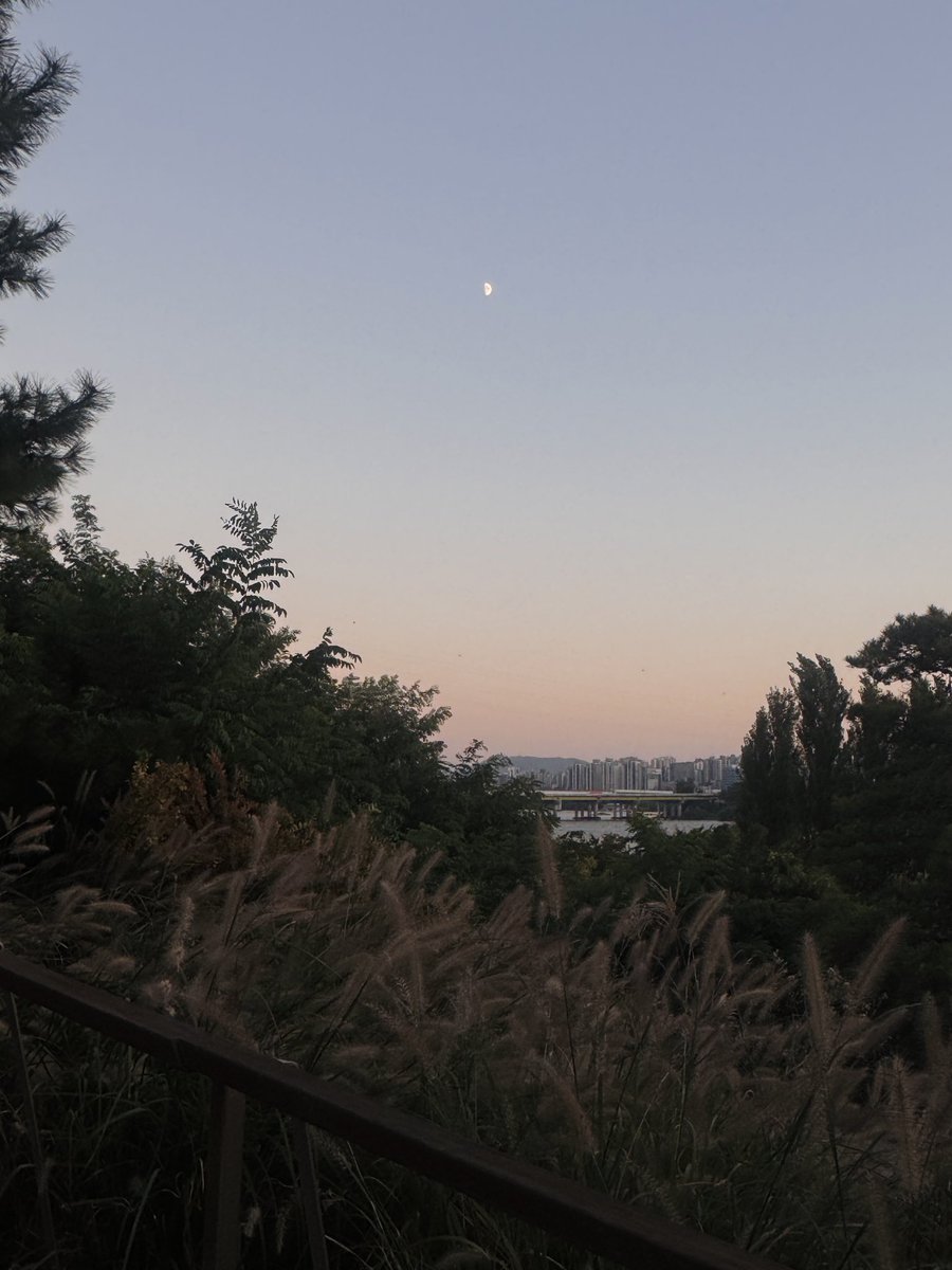 zhdwnsla's tweet photo. 한강 가기 좋은 날씨 https://t.co/gprqsQaAhM