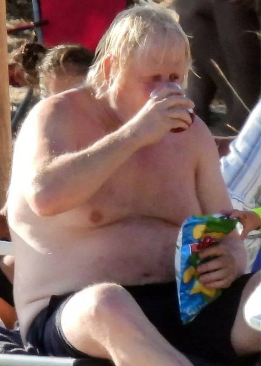 agentamour's tweet photo. @BorisJohnson Nose in the trough, doing the devils work. Paid with Globalist blood money! Traitor! https://t.co/RYYTLfPKWw