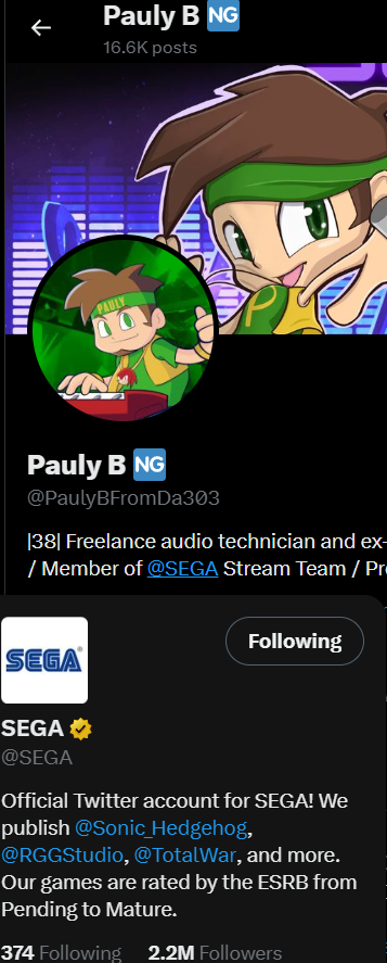 MiiaTzu's tweet photo. It's an employee from SEGA too - that's CRAZY work! https://t.co/o8FWFWti3T