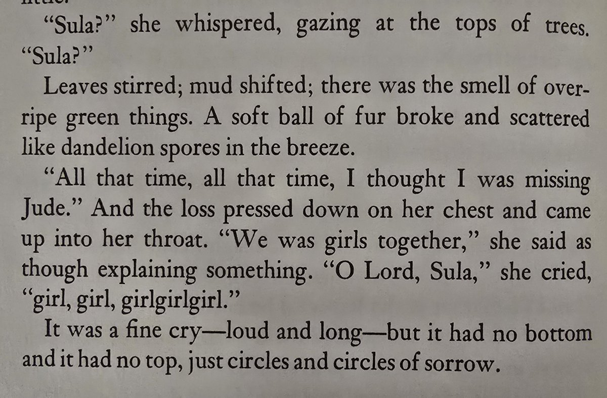 HighCalPensman's tweet photo. Ok it's been a while since reading Sula, but that's crazy that she subconsciously felt she had to explain her friendship with the girl everyone hated. Fuck the "good townspeople." https://t.co/Jahd5iTWEP