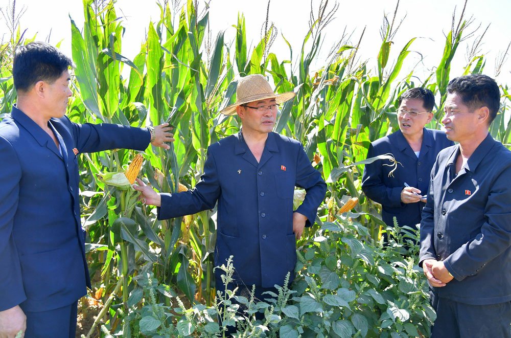DPRKArabic's tweet photo. 🚩 رئيس الوزراء باك تاي سونغ في جولة ميدانية!
🌾 تفقد حقول الأرز في 5 مقاطعات… وشدّد على مضاعفة الإنتاج وحصاد بلا خسائر!
🏭 ثم زار مصنع الأسمدة وموقع بناء هواسونغ المرحلة 5.
🇰🇵 عاشت كوريا!
#DPRK #كوريا_الشمالية https://t.co/EbbztfvBeU