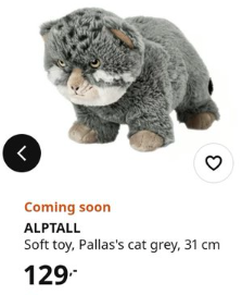 waltercooks_'s tweet photo. IKEA LAUNCHING NEW PLUSHIE ALREADY THIS IS GIGA

Every normie wants this fucking MAX viral, named "ALPTALL"

djungelskog went 1MIL and this is 10X better

More tweets: https://t.co/YRHyamFxO5 https://t.co/E5EmAtGKLn