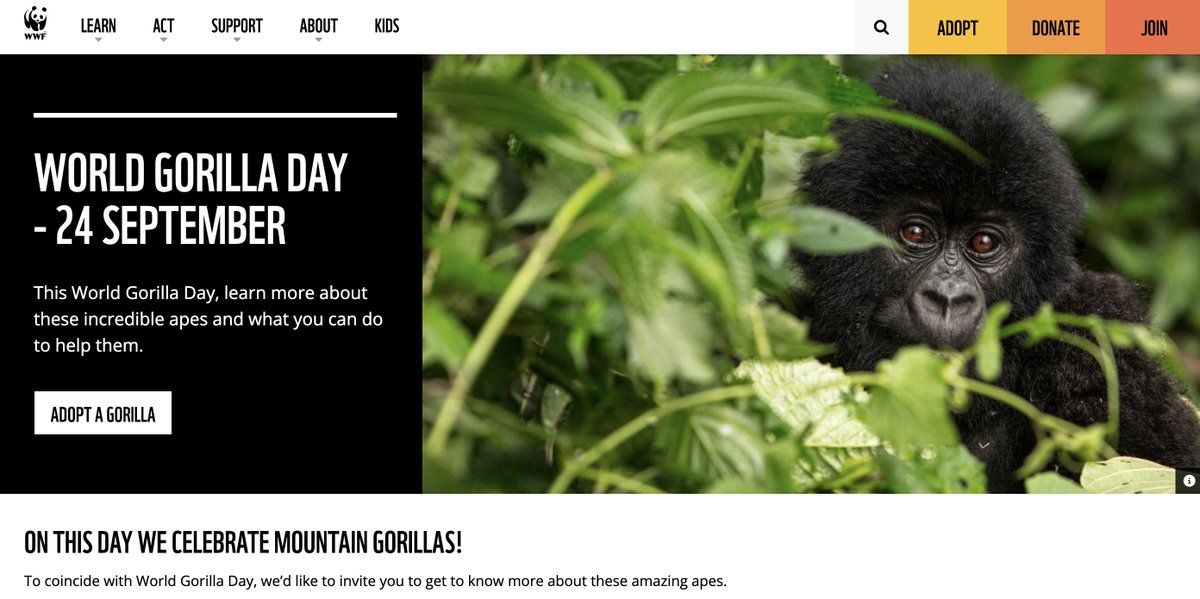 bensscco's tweet photo. solana:3y4KW6Yere8NAjVSPVVWEXkUoDfXV8b6t3EDGS2W5wP2 world gorilla day is on the corner this can be huge https://t.co/DkBS63bzEo