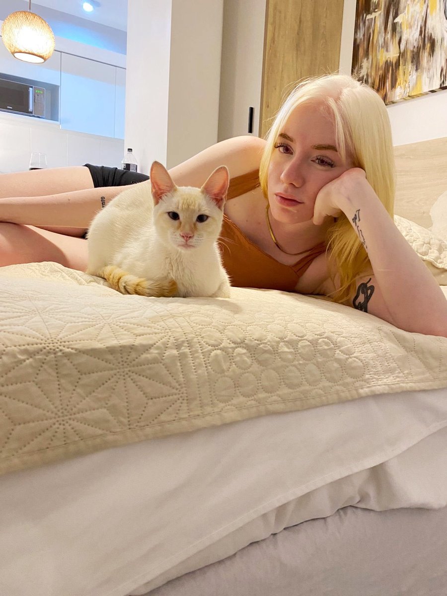 albinobracy's tweet photo. Do you think it’s dirty to sleep with your pets?👀 https://t.co/OcmSvIxcX7